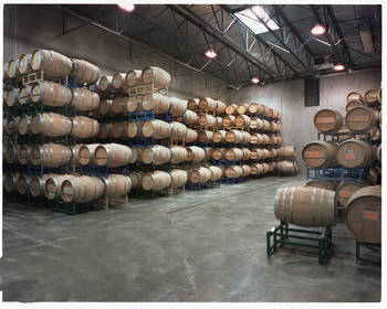 Long Shadows Vintners