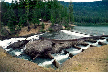 Clear Creek Dam