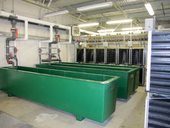 Eastbank Fish Hatchery