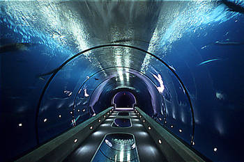 Oregon Coast Aquarium - Passages of the Deep