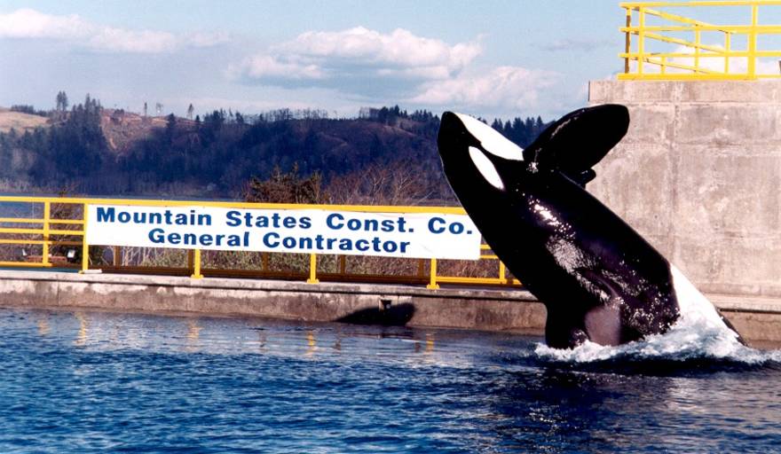 Oregon Coast Aquarium - Killer Whale Habitat