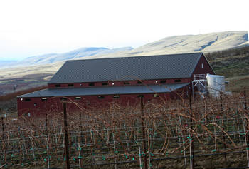 Rosa Mystica Barn